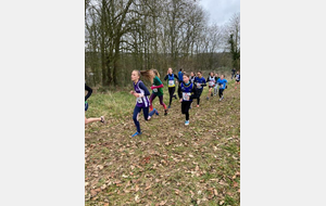 Départementaux de Cross à Montlouis