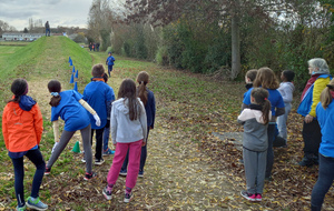 Kid cross Avoine
